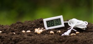 Digital Soil Thermometers