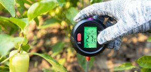 How Does A Soil Thermometer Work