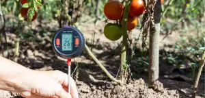 Soil Temperature Without Thermometer